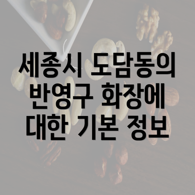 세종시 도담동의 반영구 화장에 대한 기본 정보