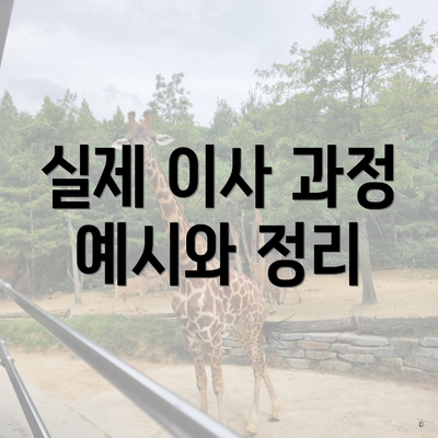 실제 이사 과정 예시와 정리