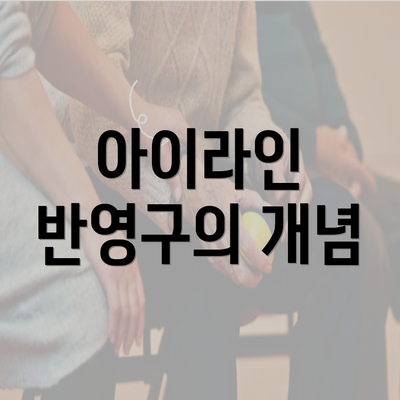 아이라인 반영구의 개념