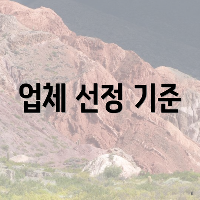 업체 선정 기준