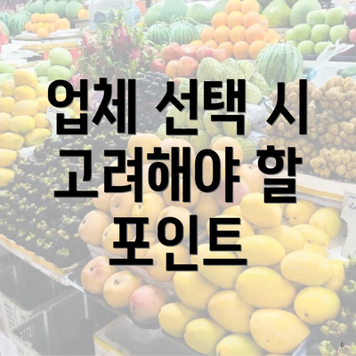 업체 선택 시 고려해야 할 포인트