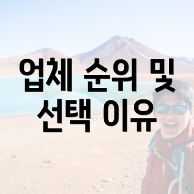 업체 순위 및 선택 이유