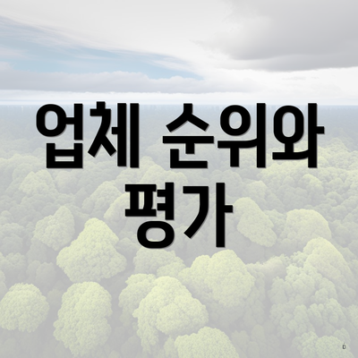업체 순위와 평가
