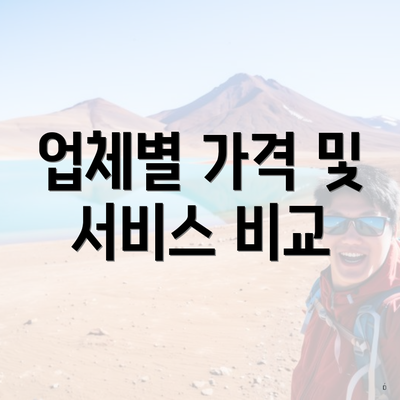 업체별 가격 및 서비스 비교