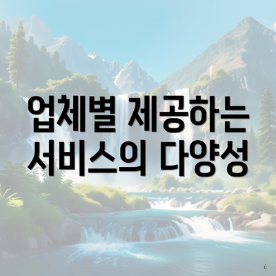 업체별 제공하는 서비스의 다양성