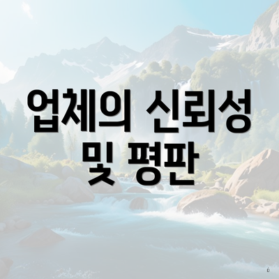 업체의 신뢰성 및 평판