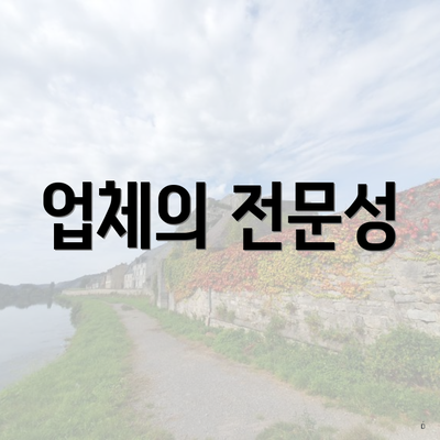 업체의 전문성