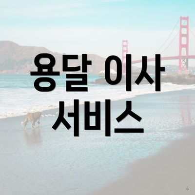 용달 이사 서비스