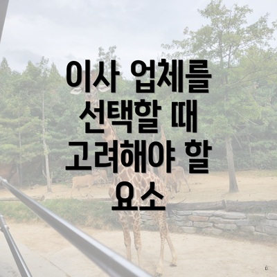 이사 업체를 선택할 때 고려해야 할 요소