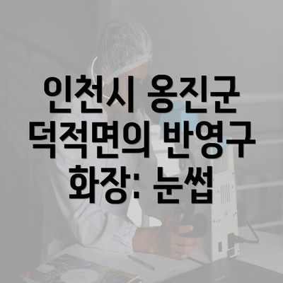 인천시 옹진군 덕적면의 반영구 화장: 눈썹