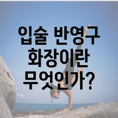 입술 반영구 화장이란 무엇인가?