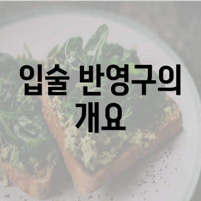 입술 반영구의 개요