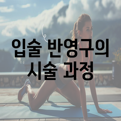 입술 반영구의 시술 과정