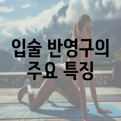 입술 반영구의 주요 특징