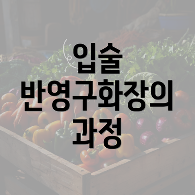 입술 반영구화장의 과정