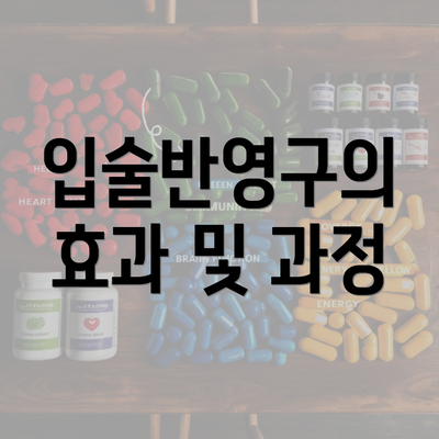 입술반영구의 효과 및 과정