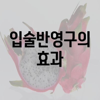 입술반영구의 효과