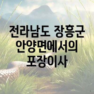 전라남도 장흥군 안양면에서의 포장이사