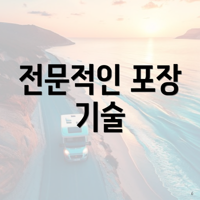 전문적인 포장 기술