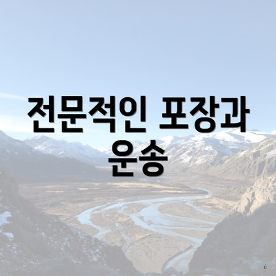 전문적인 포장과 운송