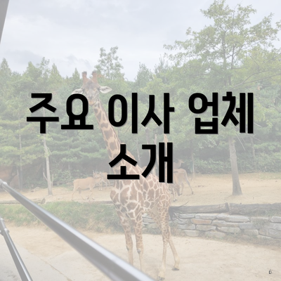 주요 이사 업체 소개