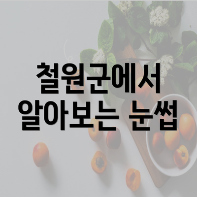 철원군에서 알아보는 눈썹