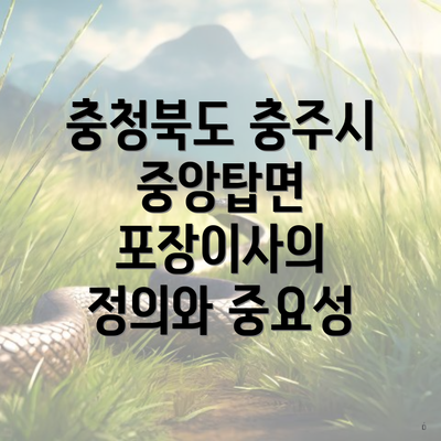 충청북도 충주시 중앙탑면 포장이사의 정의와 중요성