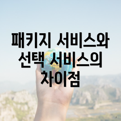 패키지 서비스와 선택 서비스의 차이점