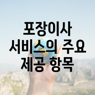 포장이사 서비스의 주요 제공 항목