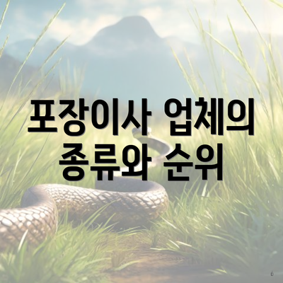 포장이사 업체의 종류와 순위