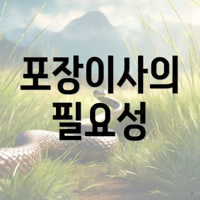 포장이사의 필요성