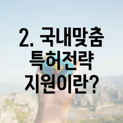 2. 국내맞춤 특허전략 지원이란?