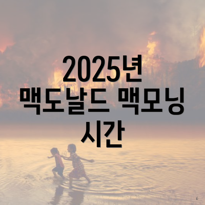 2025년 맥도날드 맥모닝 시간