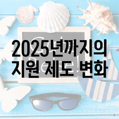 2025년까지의 지원 제도 변화