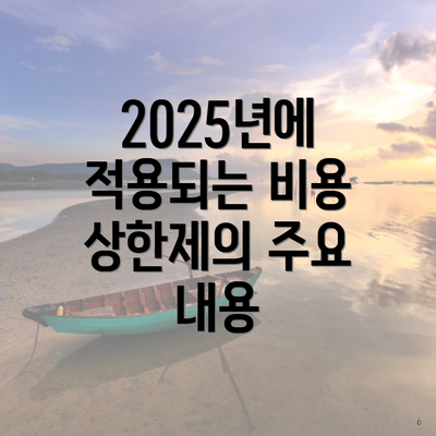 2025년에 적용되는 비용 상한제의 주요 내용