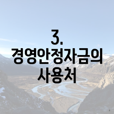 3. 경영안정자금의 사용처