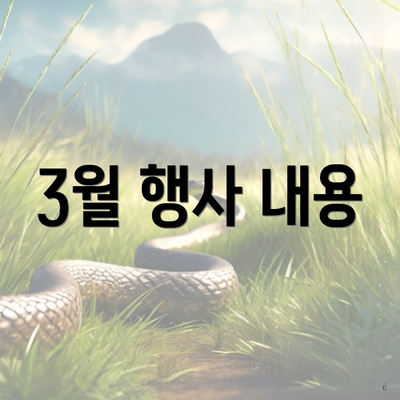 3월 행사 내용