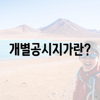 개별공시지가란?