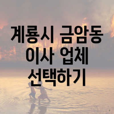 계룡시 금암동 이사 업체 선택하기