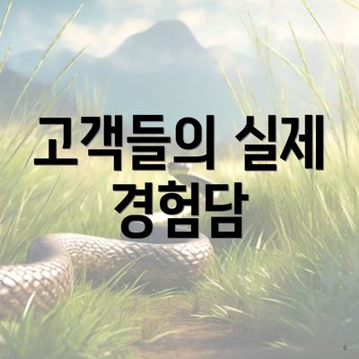 고객들의 실제 경험담