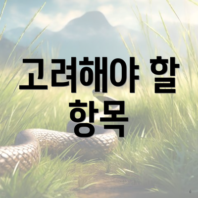 고려해야 할 항목