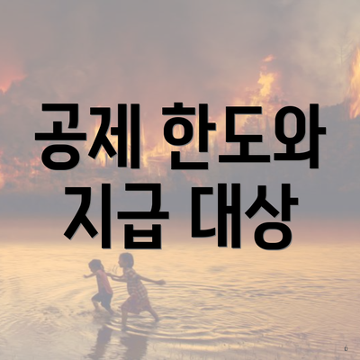 공제 한도와 지급 대상