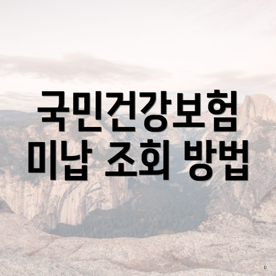 국민건강보험 미납 조회 방법