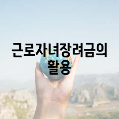 근로자녀장려금의 활용