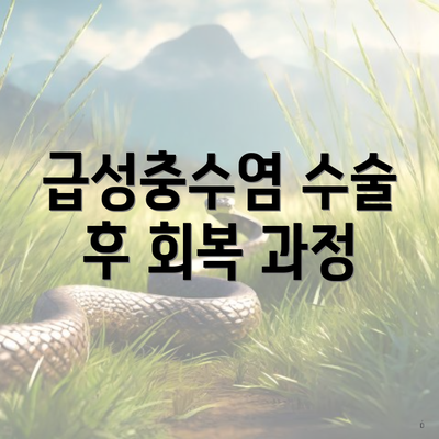 급성충수염 수술 후 회복 과정