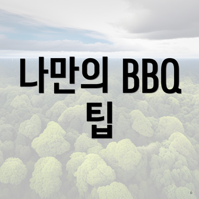 나만의 BBQ 팁