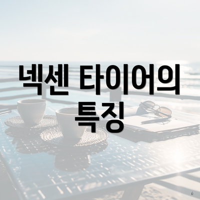 넥센 타이어의 특징