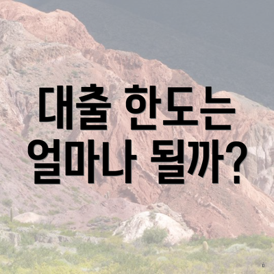 대출 한도는 얼마나 될까?