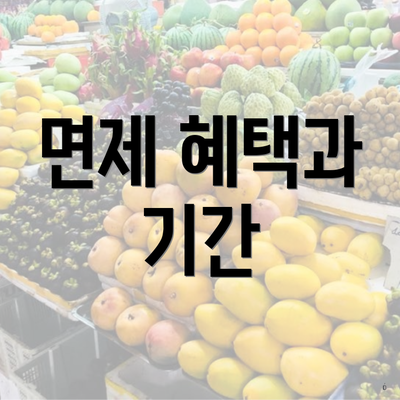 면제 혜택과 기간