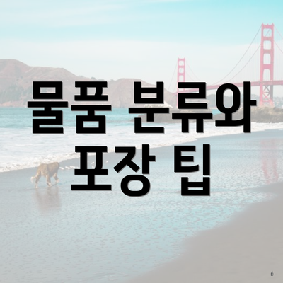 물품 분류와 포장 팁